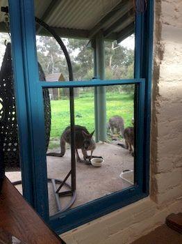 Stawell Holiday Cottages Екстериор снимка