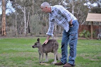 Stawell Holiday Cottages Екстериор снимка